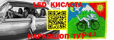 кокс Гусев