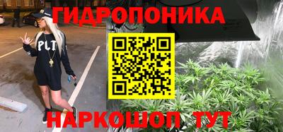 кокс Гусев