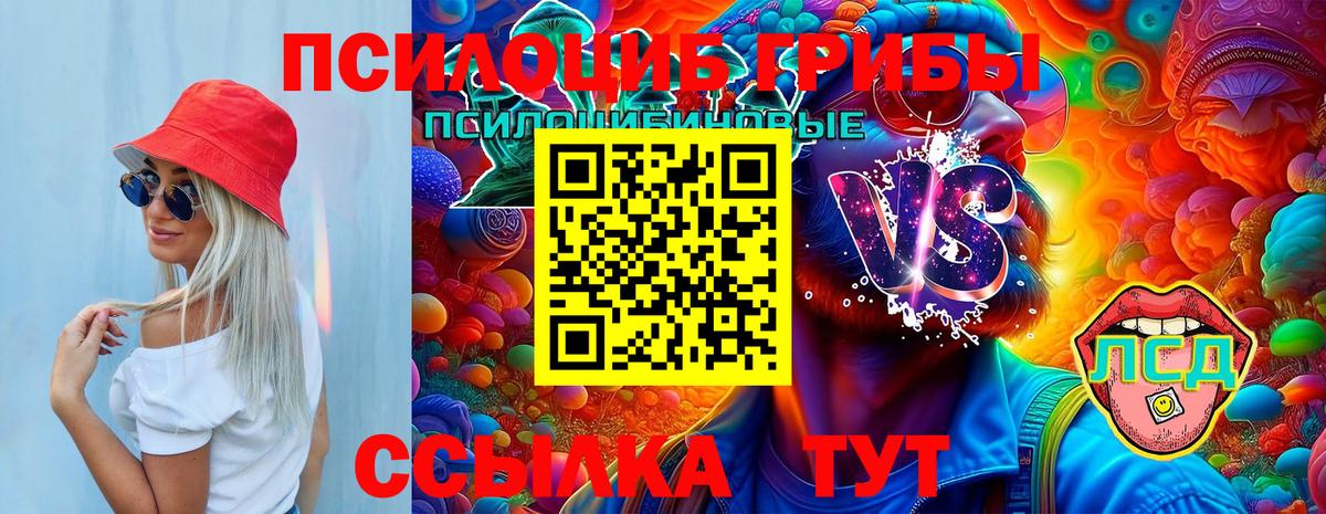 Нововоронеж  Псилоцибиновые грибы Magic Shrooms  Вход с VPN 