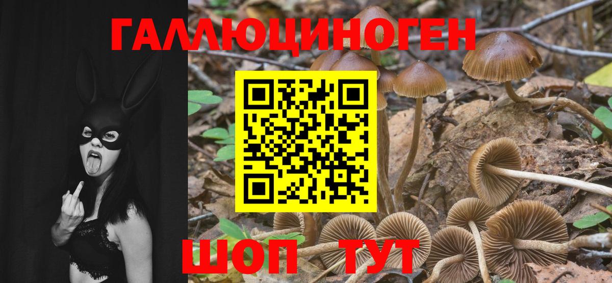 Галлюциногенные грибы ЛСД Нововоронеж